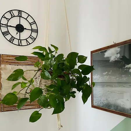 Apartment 22 *